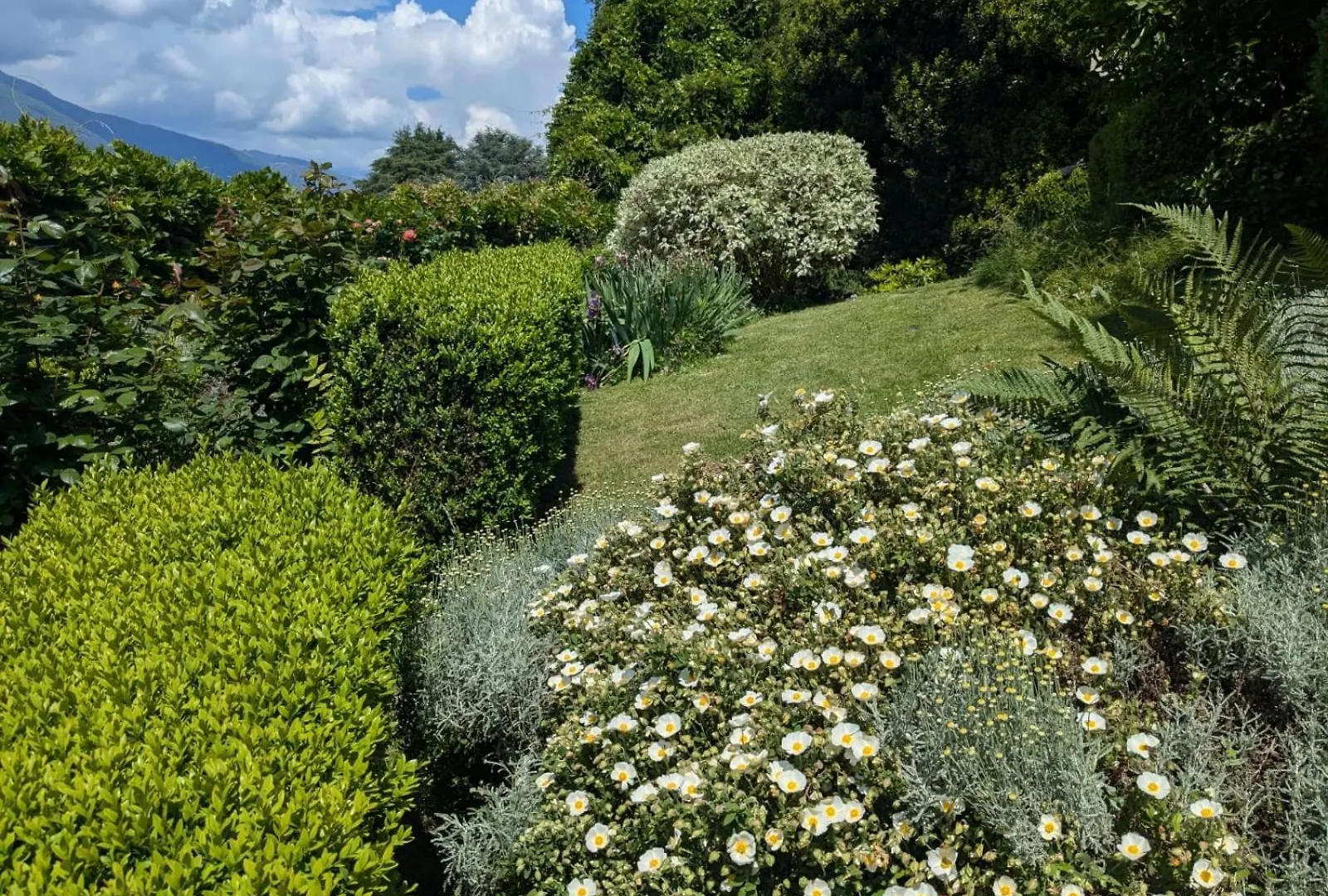 Elegant Lakeview Retreat With Garden Lake Como Just 5 Minutes From Varenna Bellano